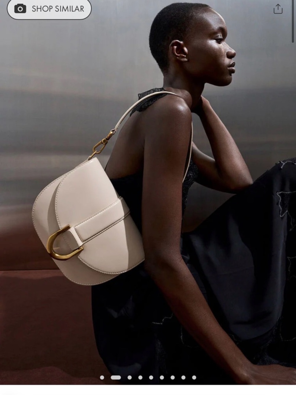 Charles & Keith Genuine Leather Saddle Bag - Oat - Picture 9 of 9